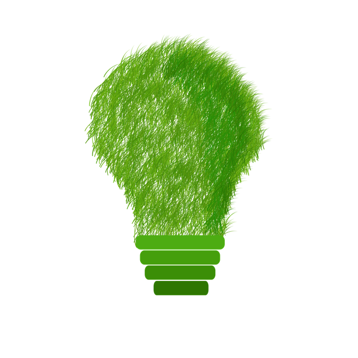 lampadina