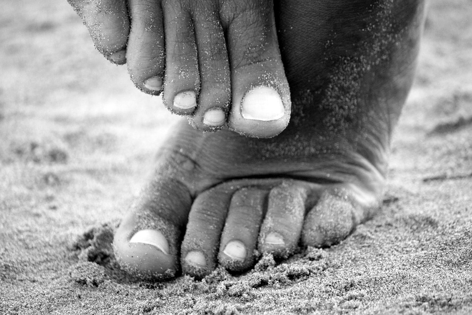 piedi