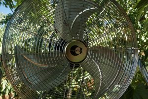 2 fan-2504094_960_720