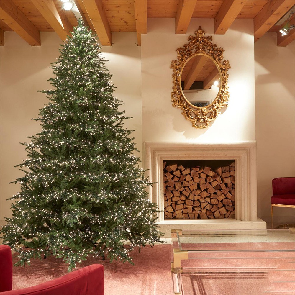 Dove Comprare Un Albero Di Natale Dove ha avuto origine la tradizione dell'albero di Natale?